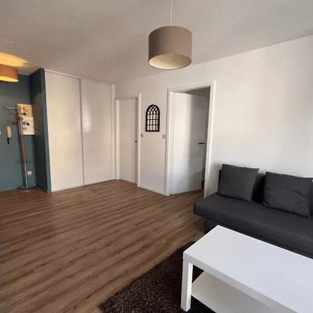 Cosy Rent Appartement Strasbourg Neudorf Menagerie Tv - Wifi Luaran gambar